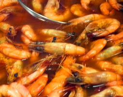 Boiled Shrimp Special